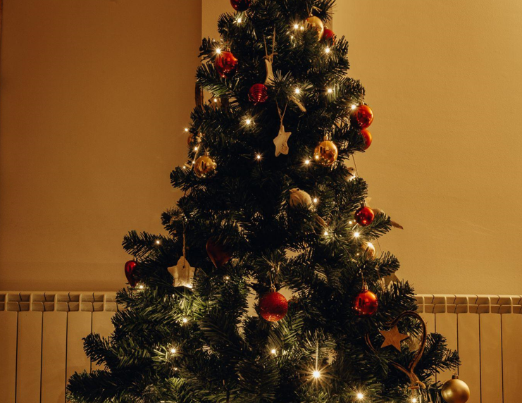 Choosing the Perfect Christmas Tree for Your Home: Tips and Tricks